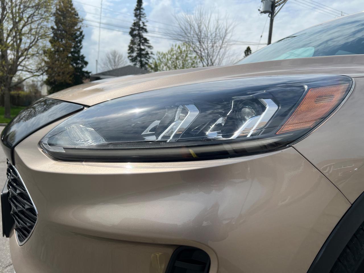 2020 Ford Escape SE AWD Photo