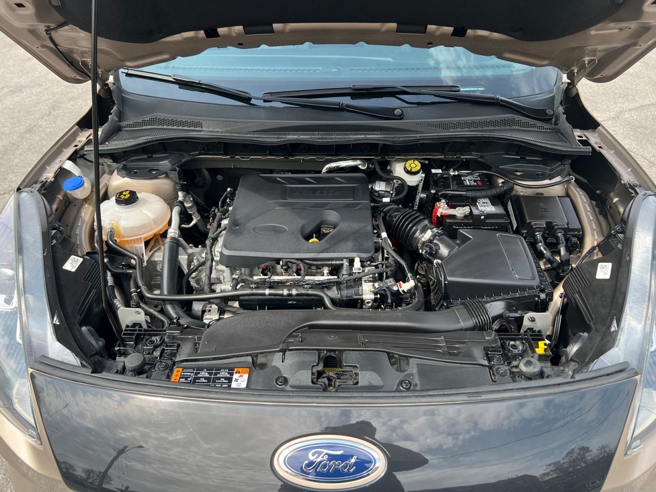 2020 Ford Escape SE AWD Photo