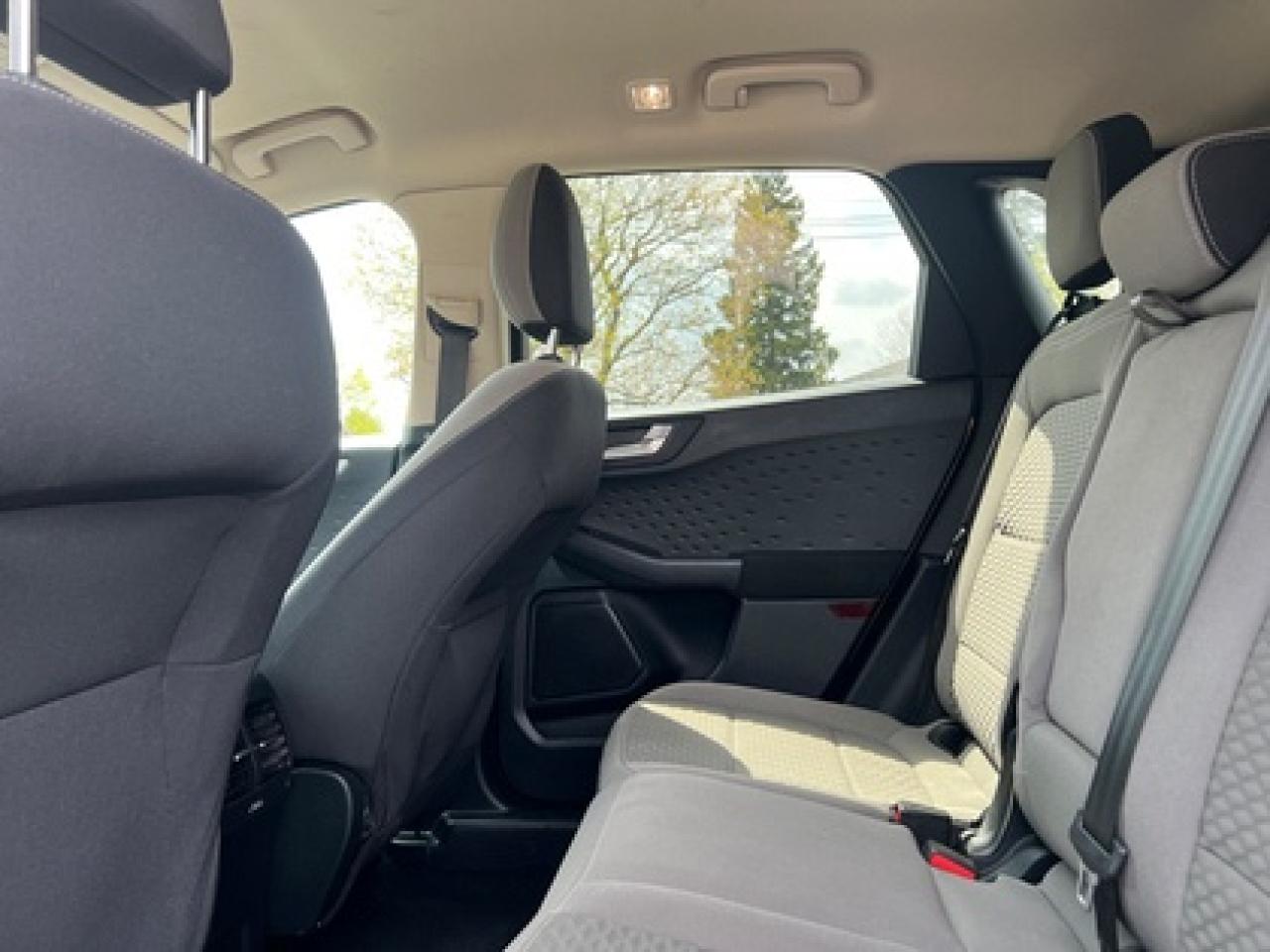 2020 Ford Escape SE AWD Photo