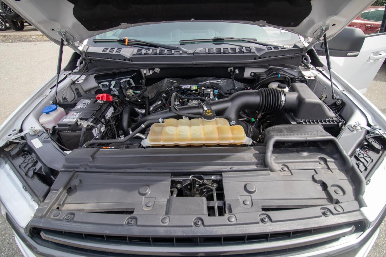 2019 Ford F-150 XLT 4WD SuperCrew 5.5' Box Photo5