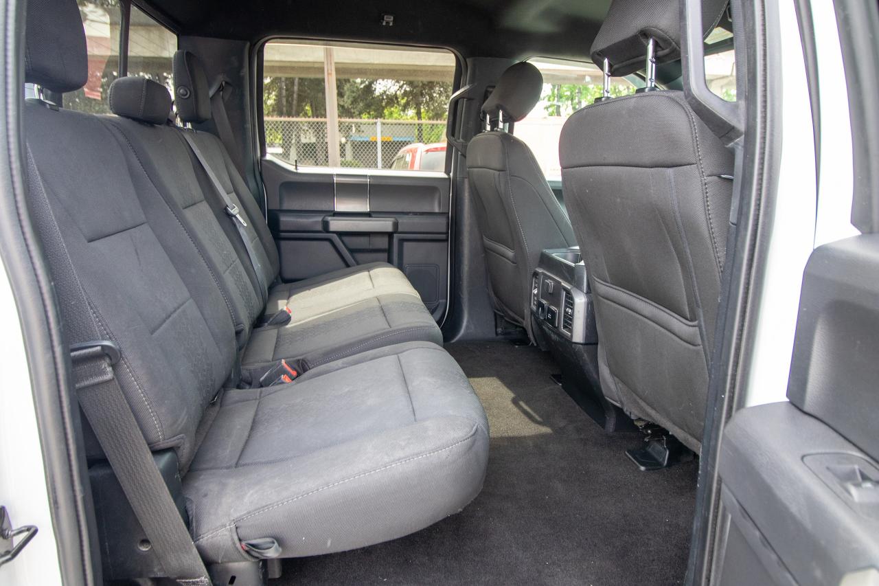 2019 Ford F-150 XLT 4WD SuperCrew 5.5' Box Photo5