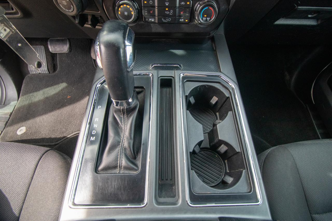 2019 Ford F-150 XLT 4WD SuperCrew 5.5' Box Photo5