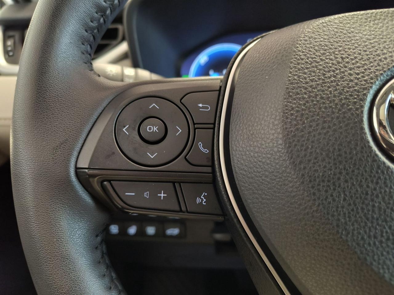 2023 Toyota RAV4 Hybrid Limited Photo