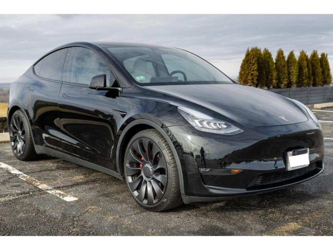 Used 2025 Tesla Model Y LONG RANGE for sale in Burlington, ON