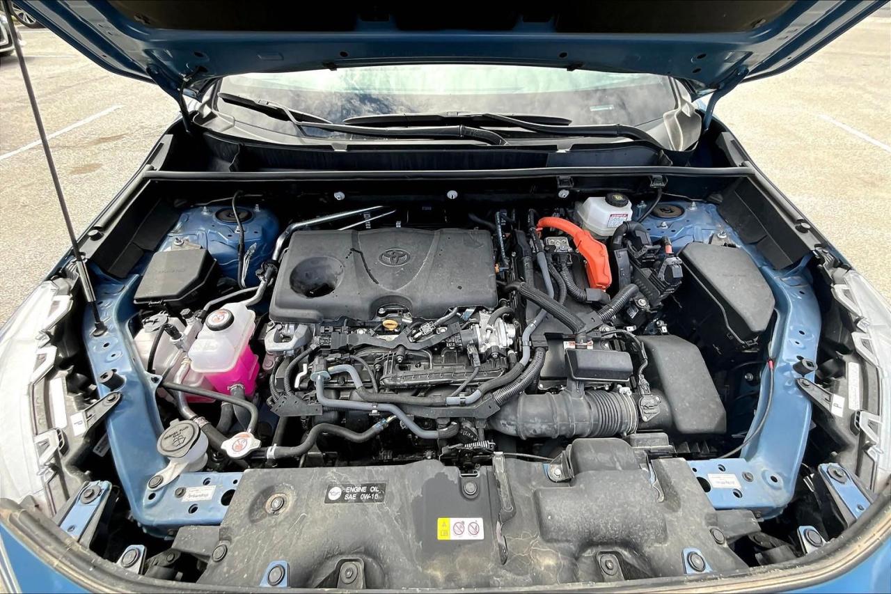 12482974