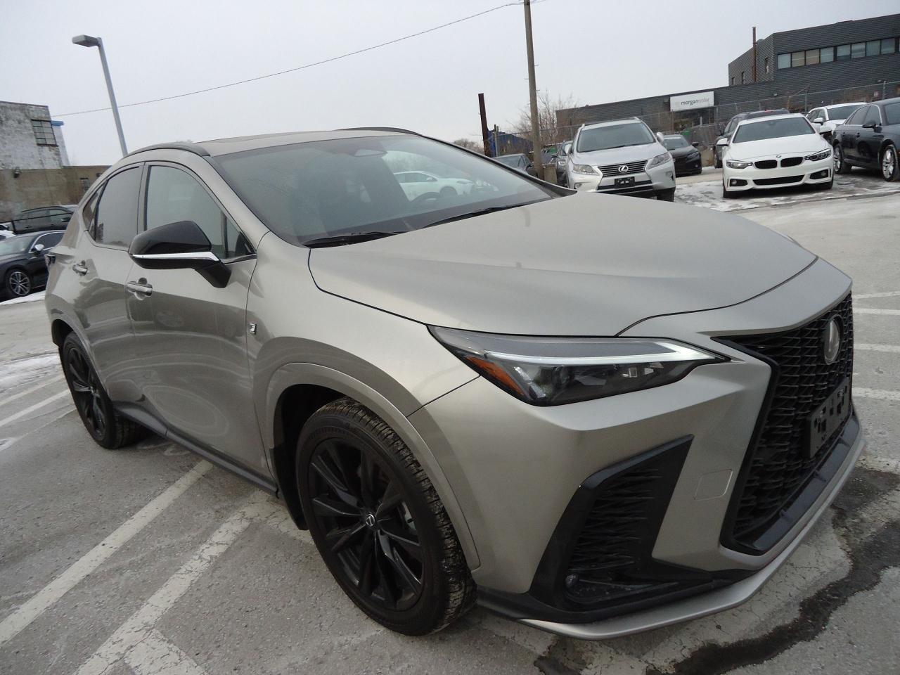 2022 Lexus RX 