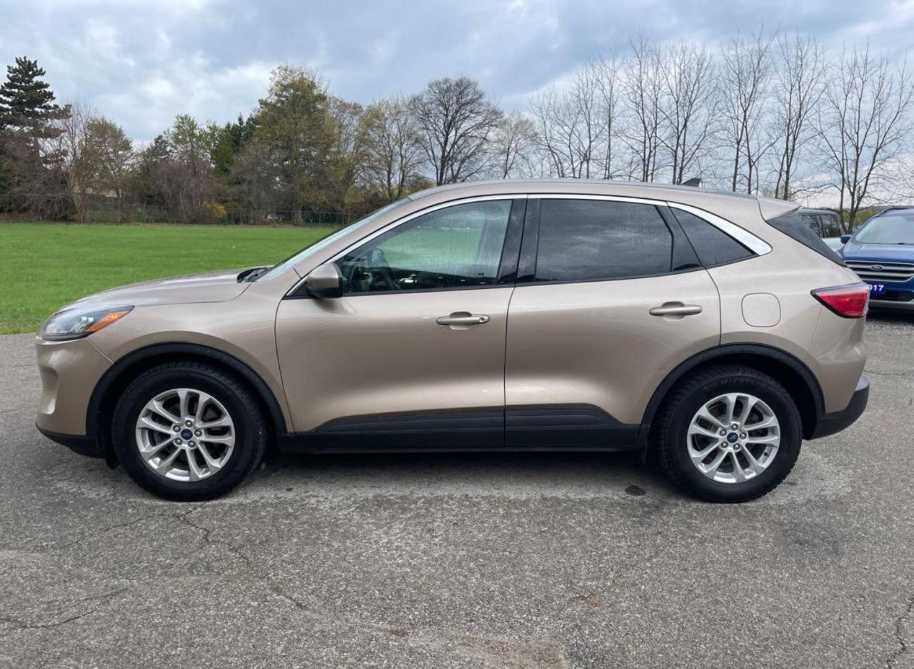 2021 Ford Escape SE - Photo #2