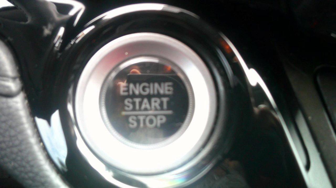 12484024