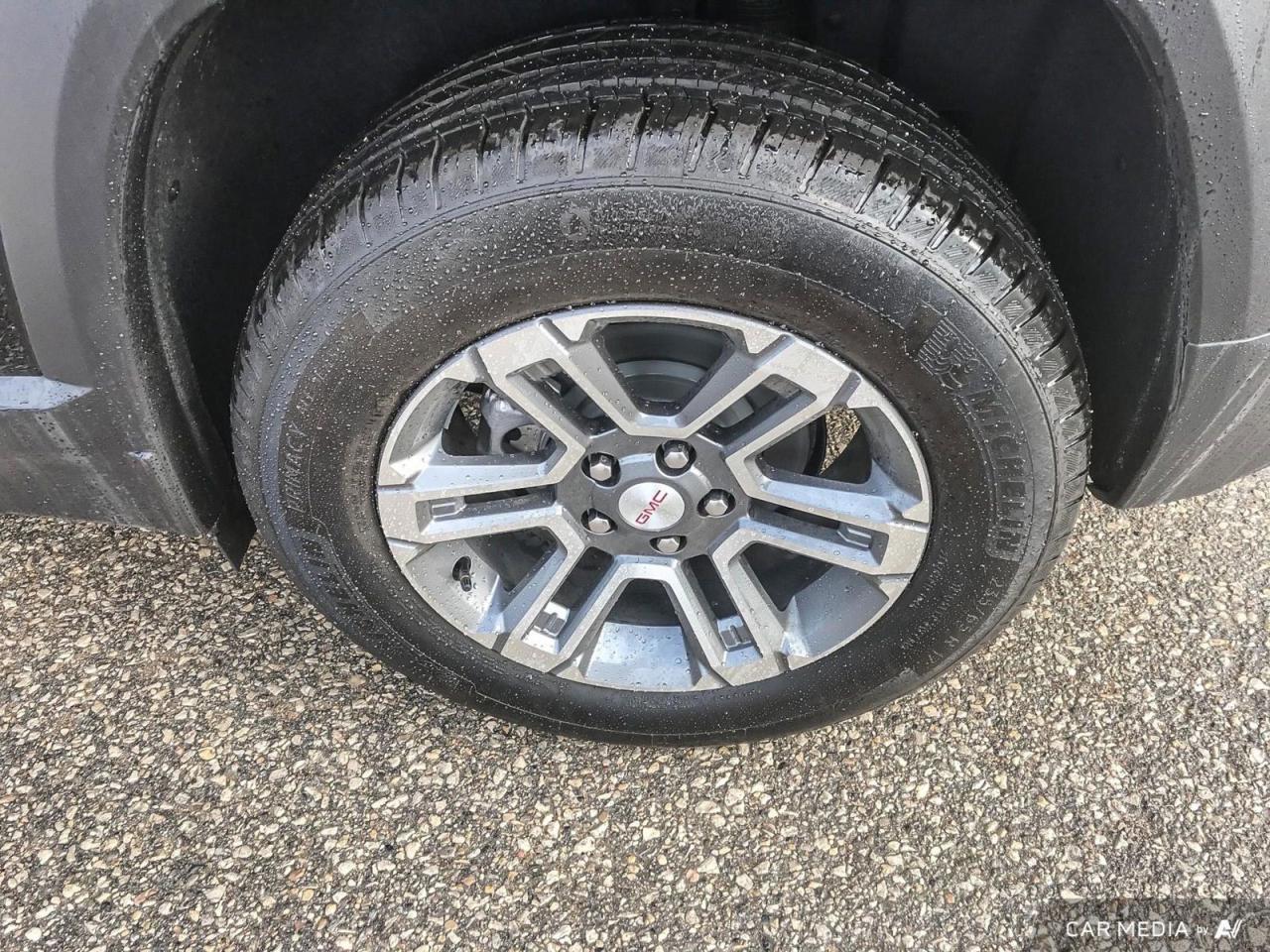 12484081