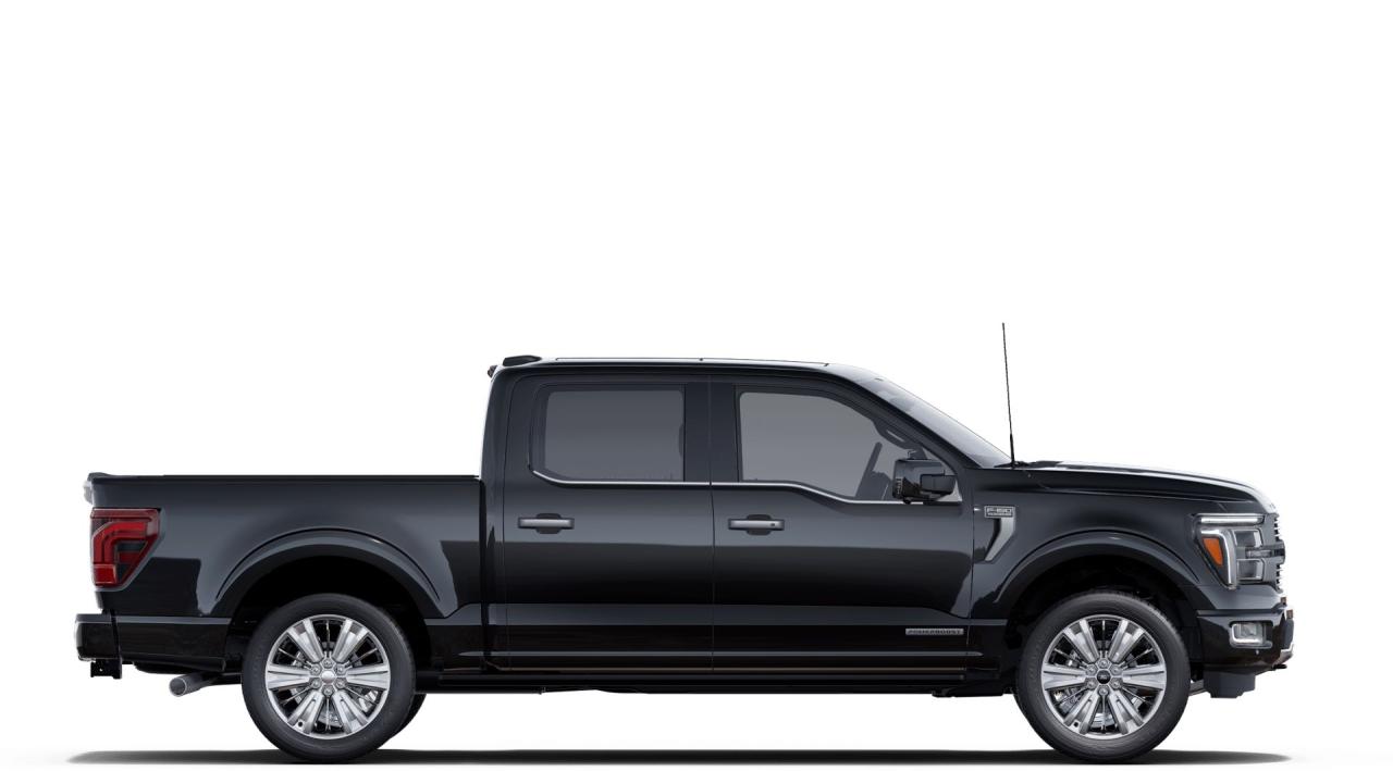 2025 Ford F-150 PLATINUM Photo4