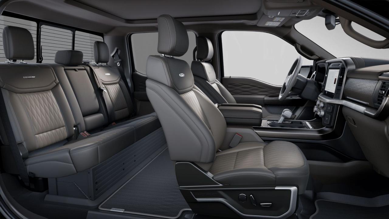 2025 Ford F-150 PLATINUM Photo5