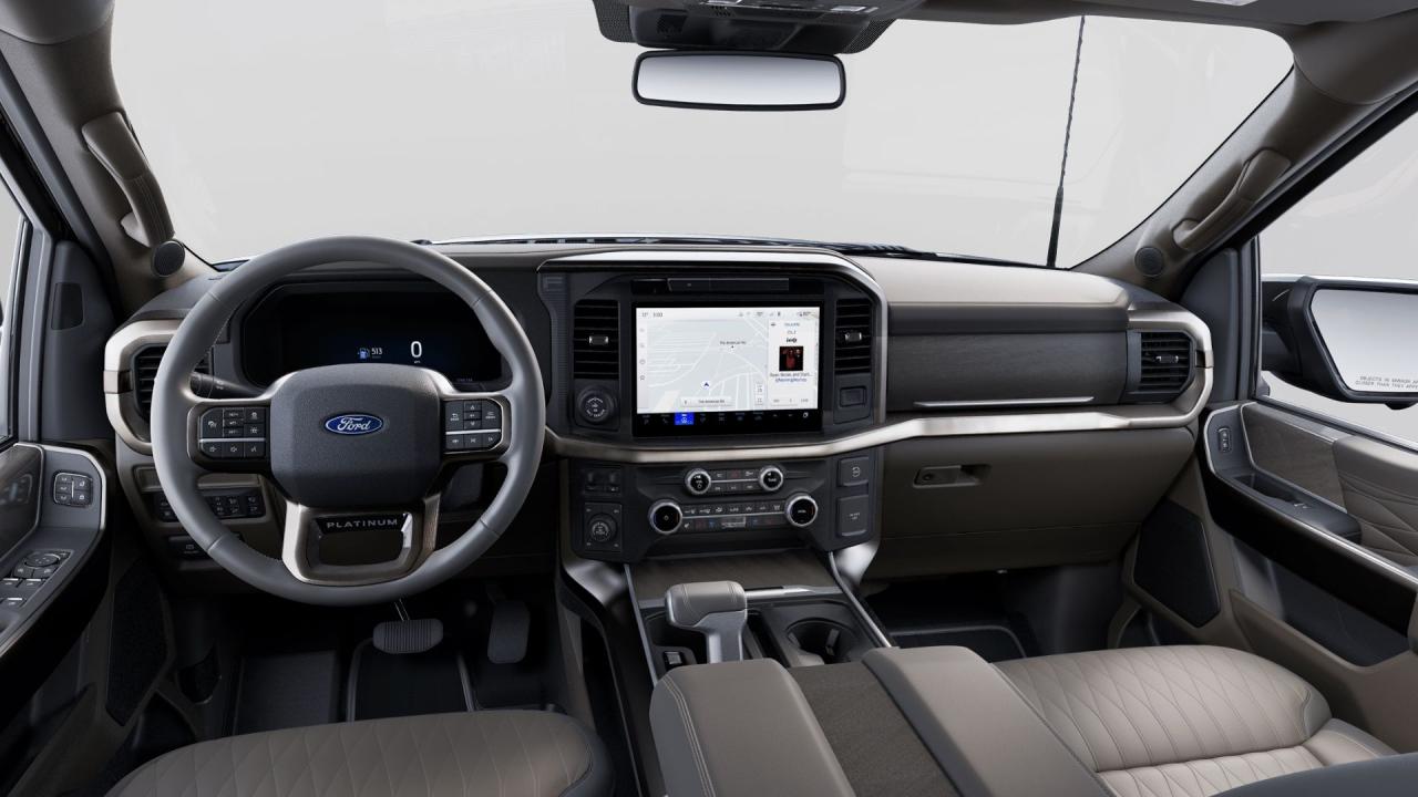 2025 Ford F-150 PLATINUM Photo5