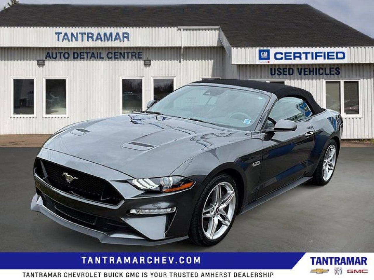 Used 2019 Ford Mustang GT Premium for sale in Amherst, NS