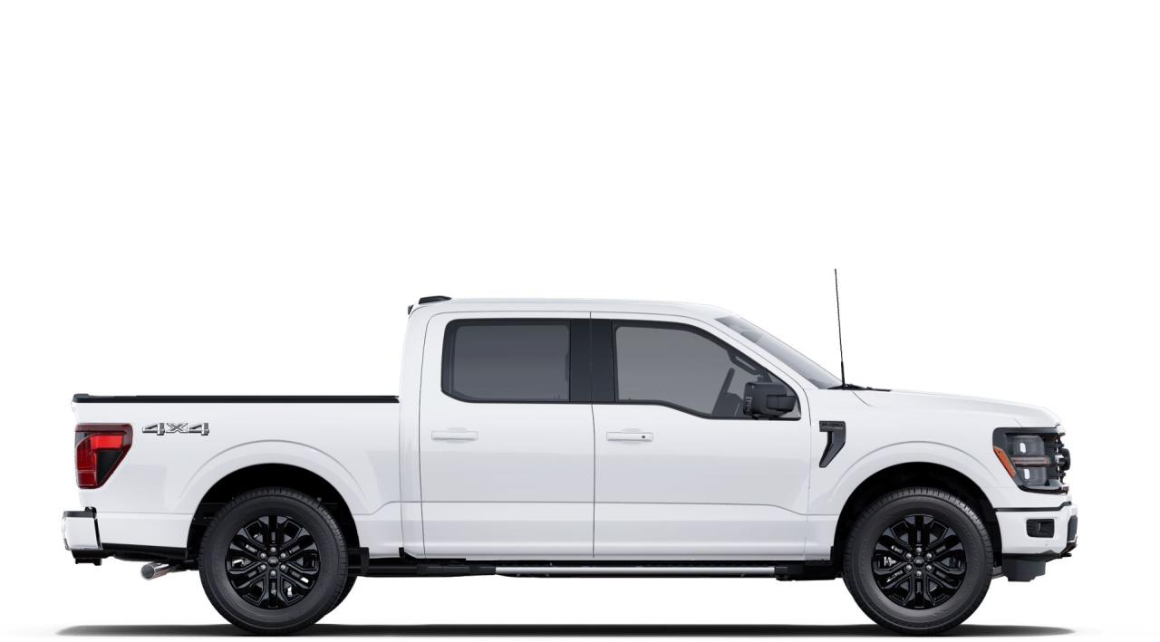 2025 Ford F-150 XLT 4WD SuperCrew 5.5' Box Photo5