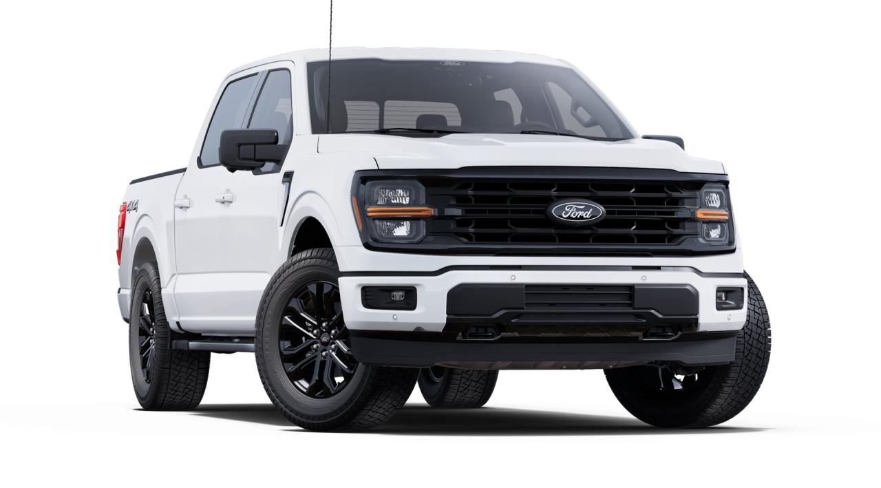 2025 Ford F-150 XLT 4WD SuperCrew 5.5' Box Photo5