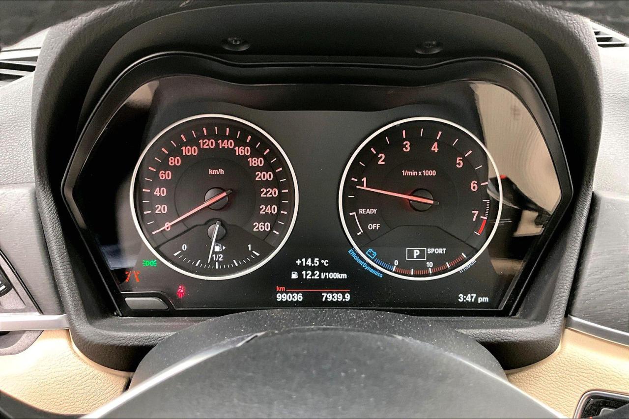 12487558