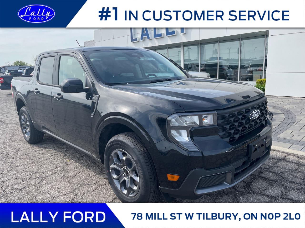 New 2025 Ford Maverick XLT for sale in Tilbury, ON
