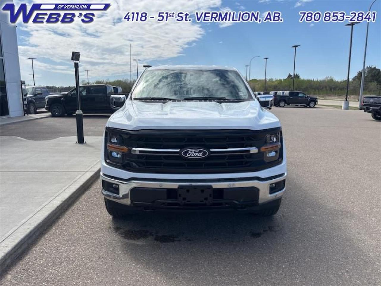2025 Ford F-150 XLT Photo5