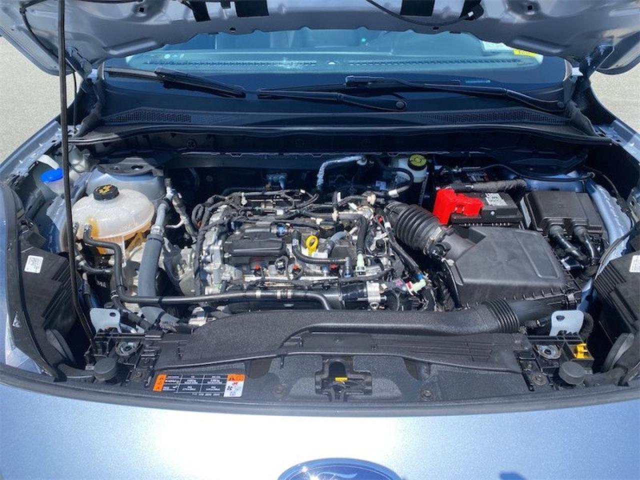 2022 Ford Escape SE AWD  - Low Mileage Photo5