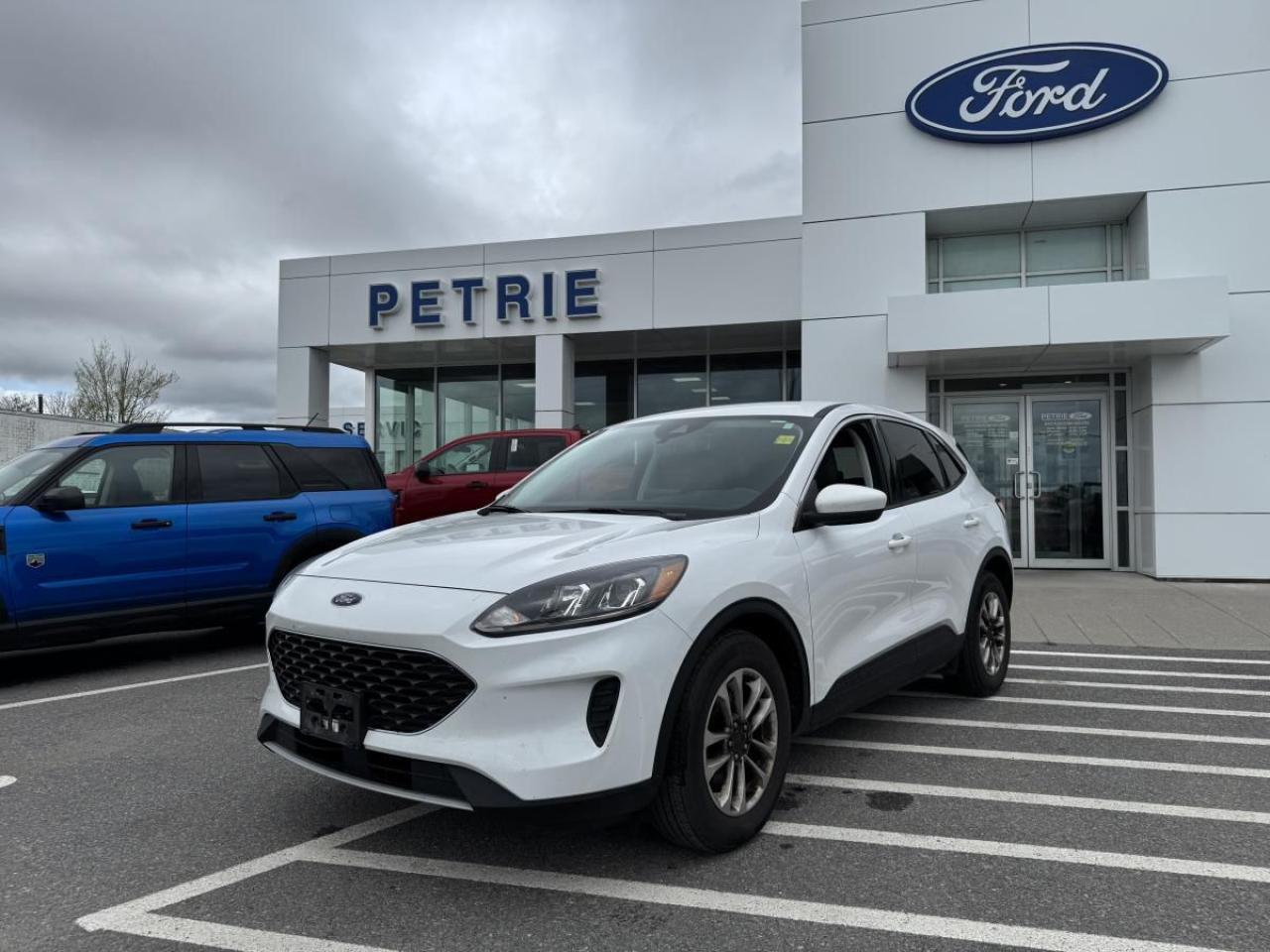 Used 2021 Ford Escape SE for sale in Kingston, ON