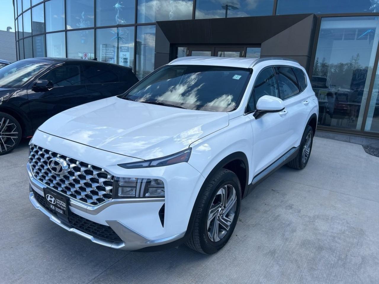 Used 2023 Hyundai Santa Fe Preferred for sale in Winnipeg, MB