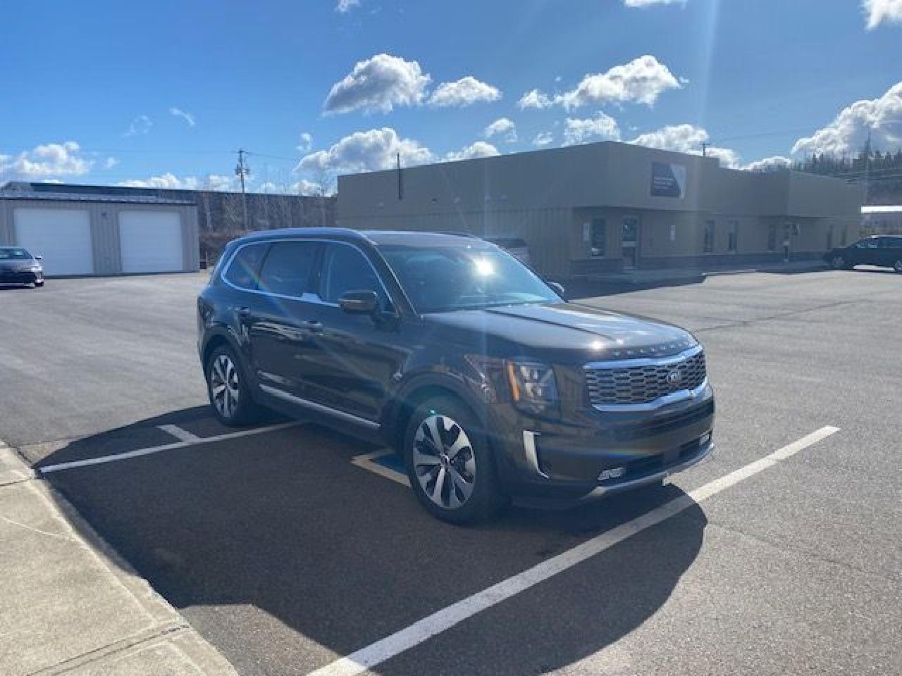 2021 Kia Telluride SX AWD - Photo #6
