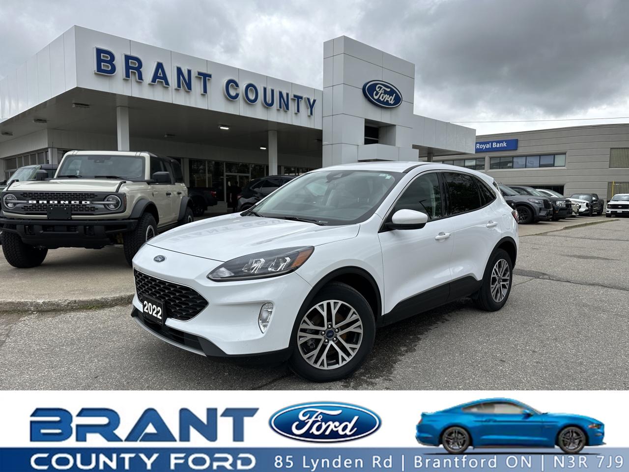 Used 2022 Ford Escape SEL for sale in Brantford, ON