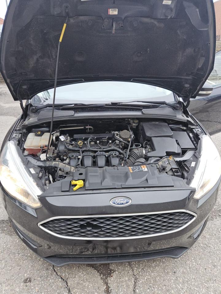 2015 Ford Focus SE - Photo #15