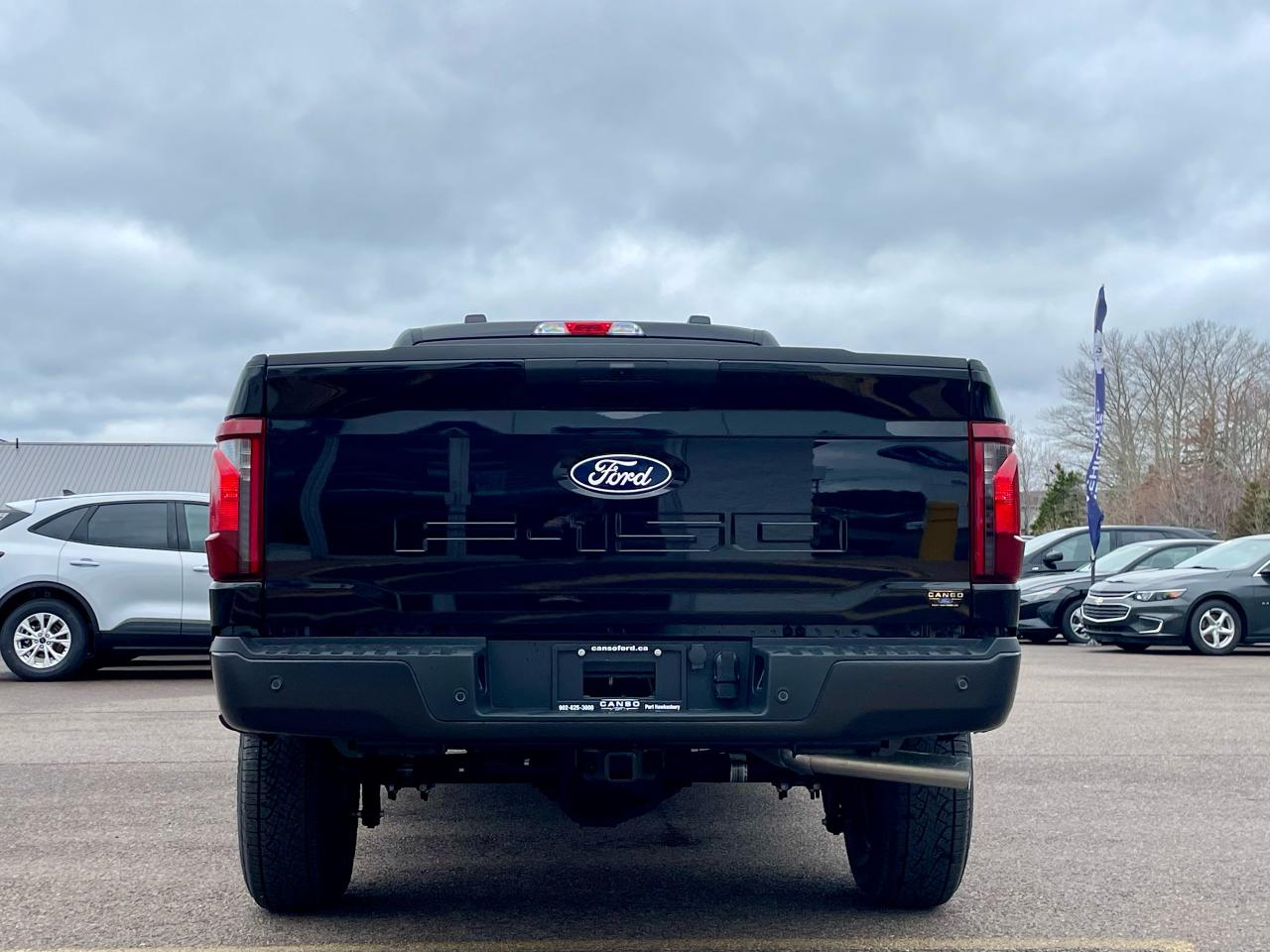 2025 Ford F-150 XL 4WD REG CAB 8' BOX Photo5