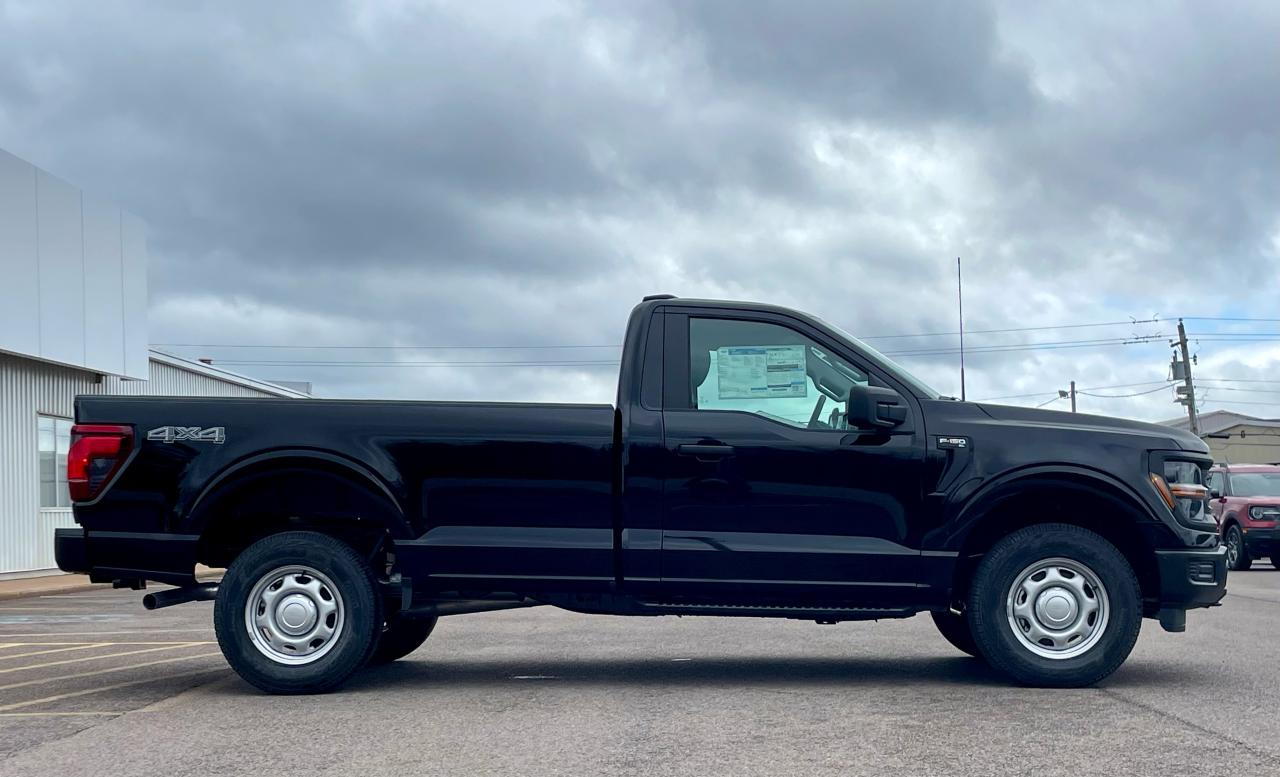2025 Ford F-150 XL 4WD REG CAB 8' BOX Photo3