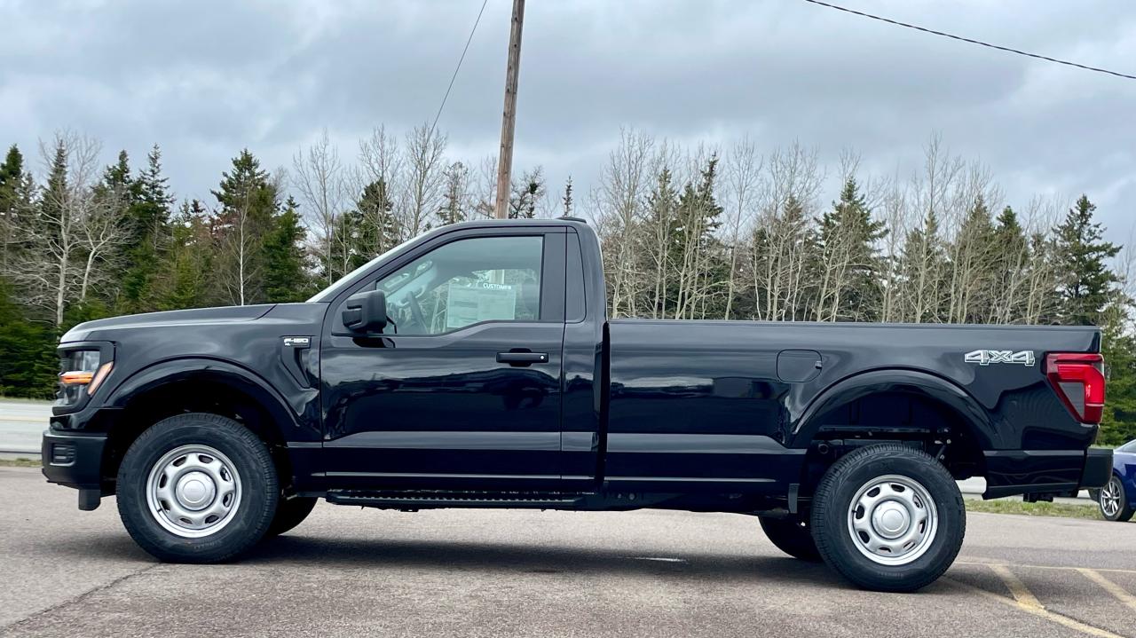 2025 Ford F-150 XL 4WD REG CAB 8' BOX Photo5