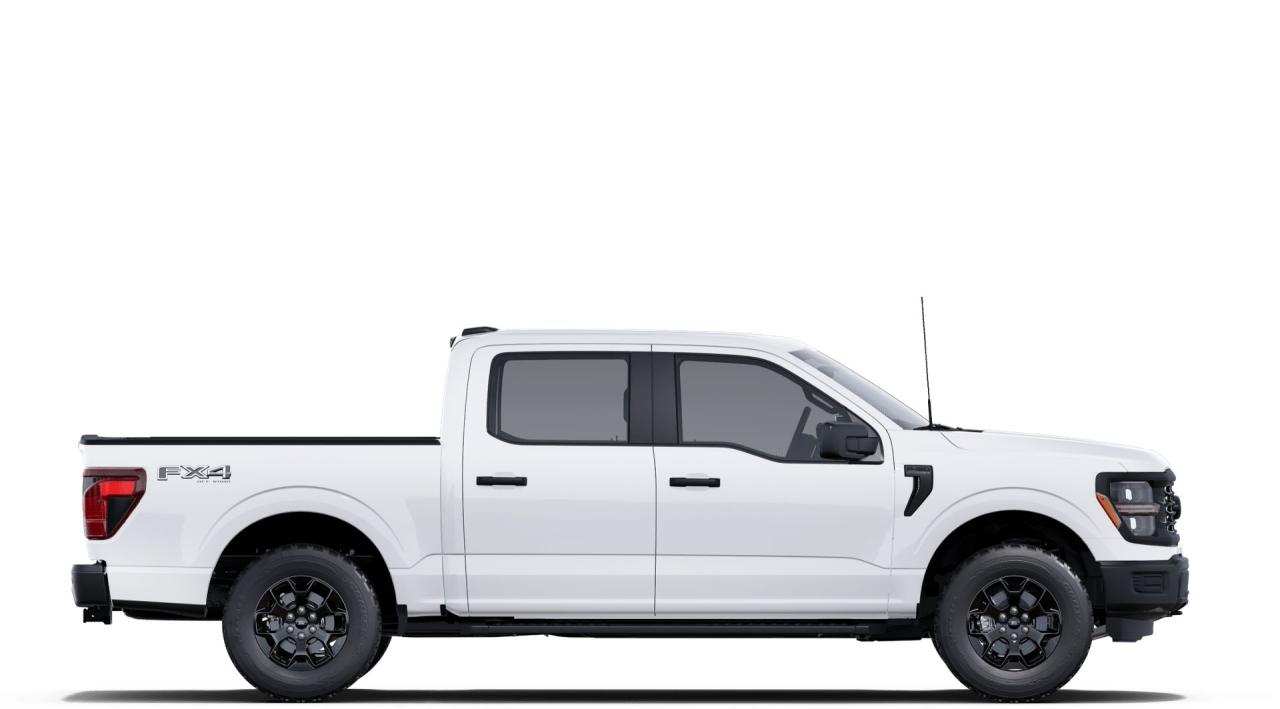 2025 Ford F-150 STX Photo4