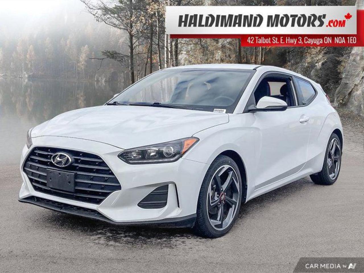 Used 2019 Hyundai Veloster 2.0 GL for sale in Cayuga, ON