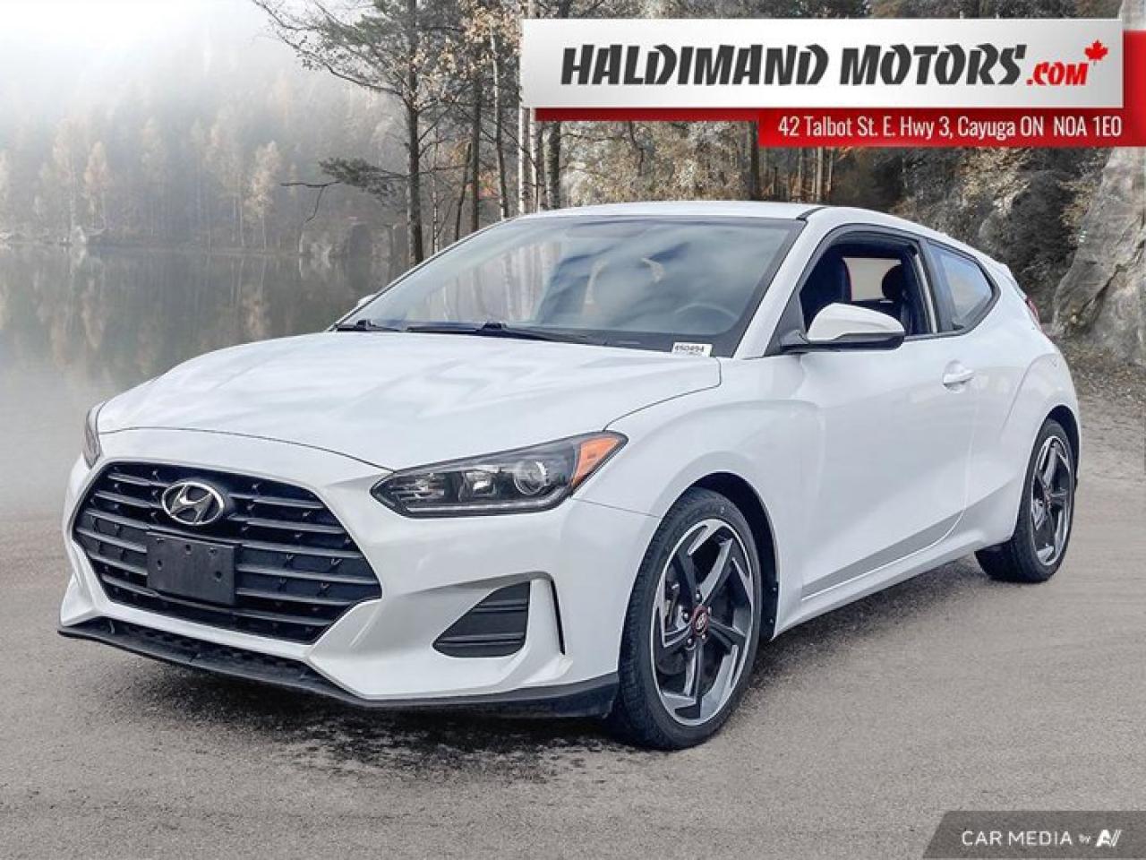 Used 2019 Hyundai Veloster 2.0 GL for sale in Cayuga, ON