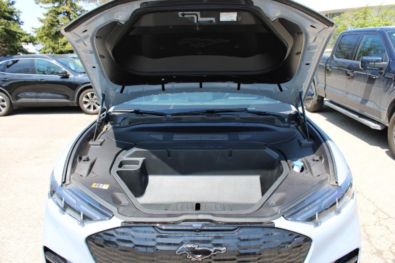 2025 Ford Mustang Mach-E GT Photo