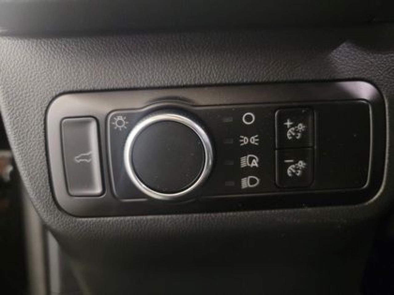 12494119