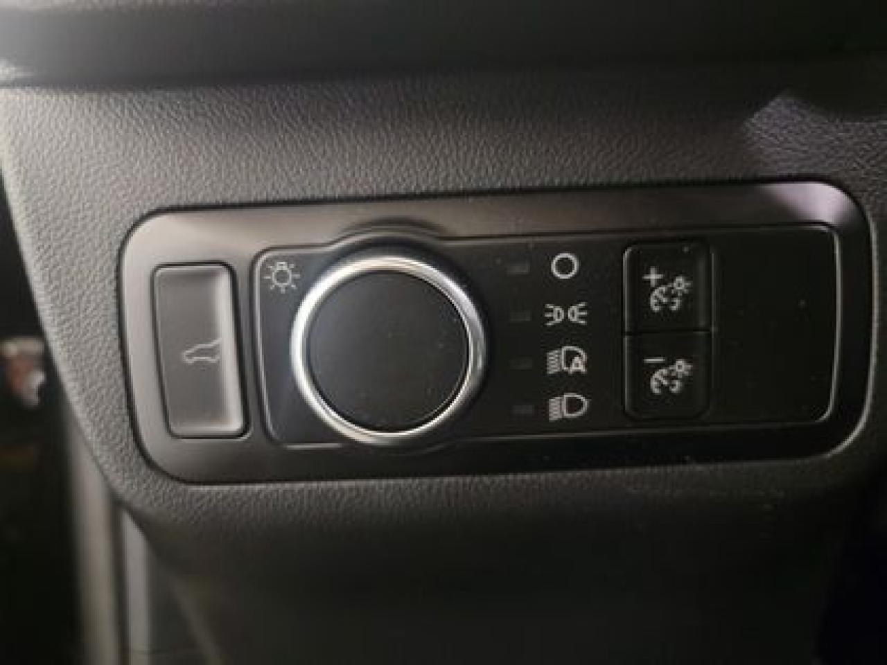 12494119