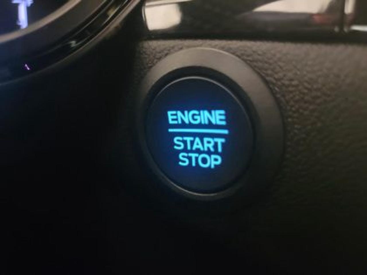 12494119