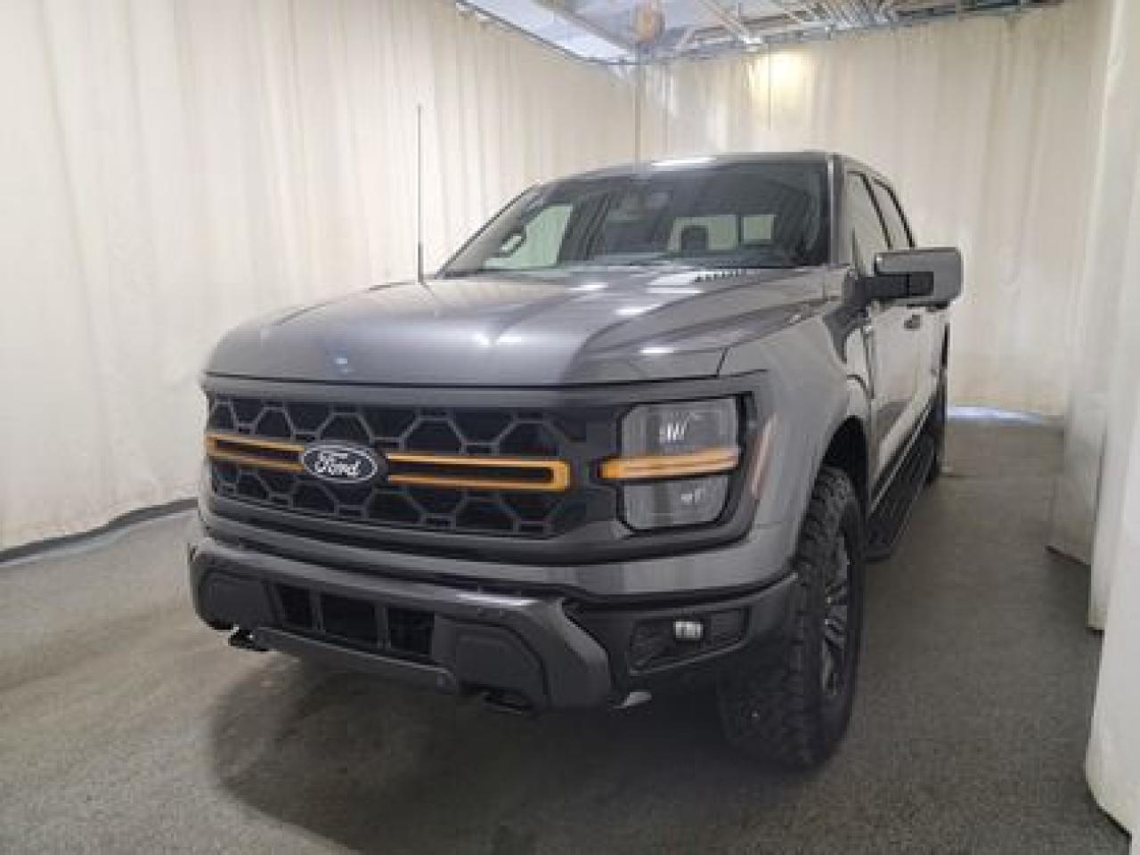 New 2025 Ford F-150 TREMOR W/ REAR VIEW CAMERA for sale in Regina, SK