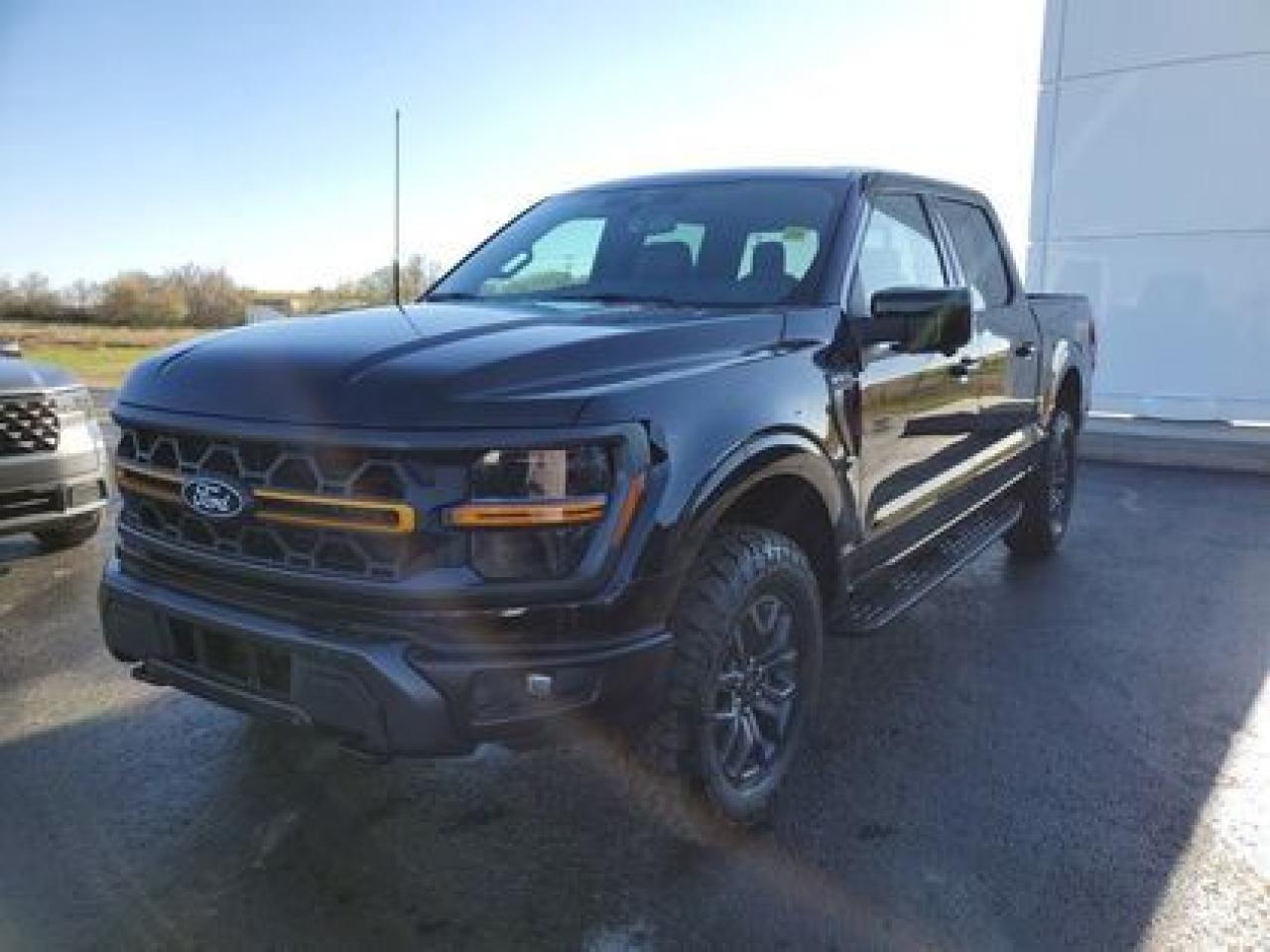 New 2025 Ford F-150 TREMOR W/ REAR VIEW CAMERA for sale in Moose Jaw, SK