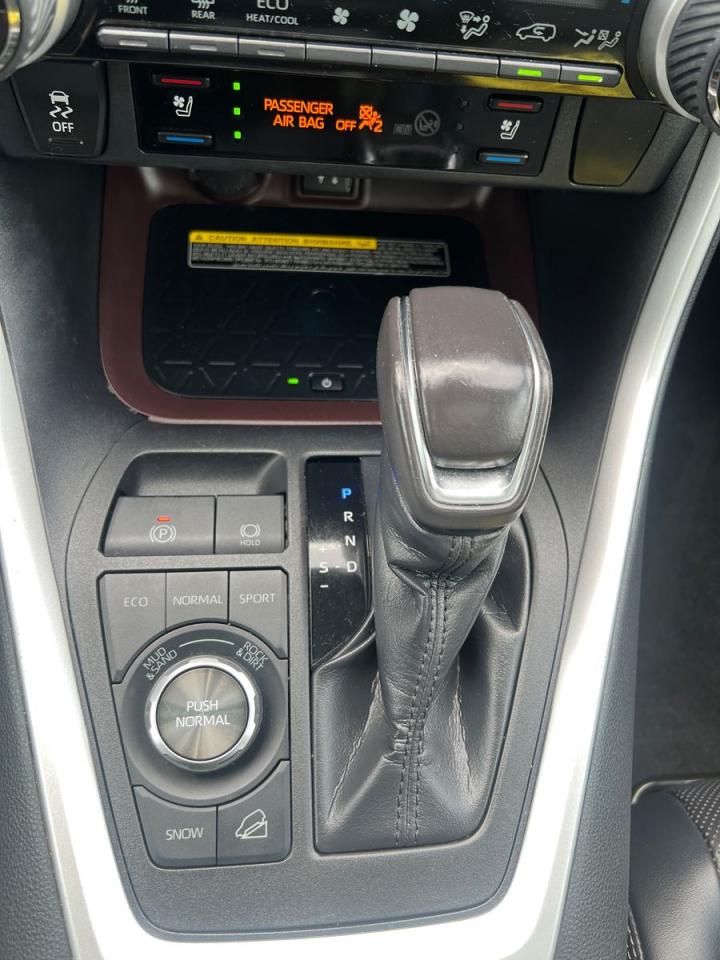 2019 Toyota RAV4 LIMITED AWD - Photo #16