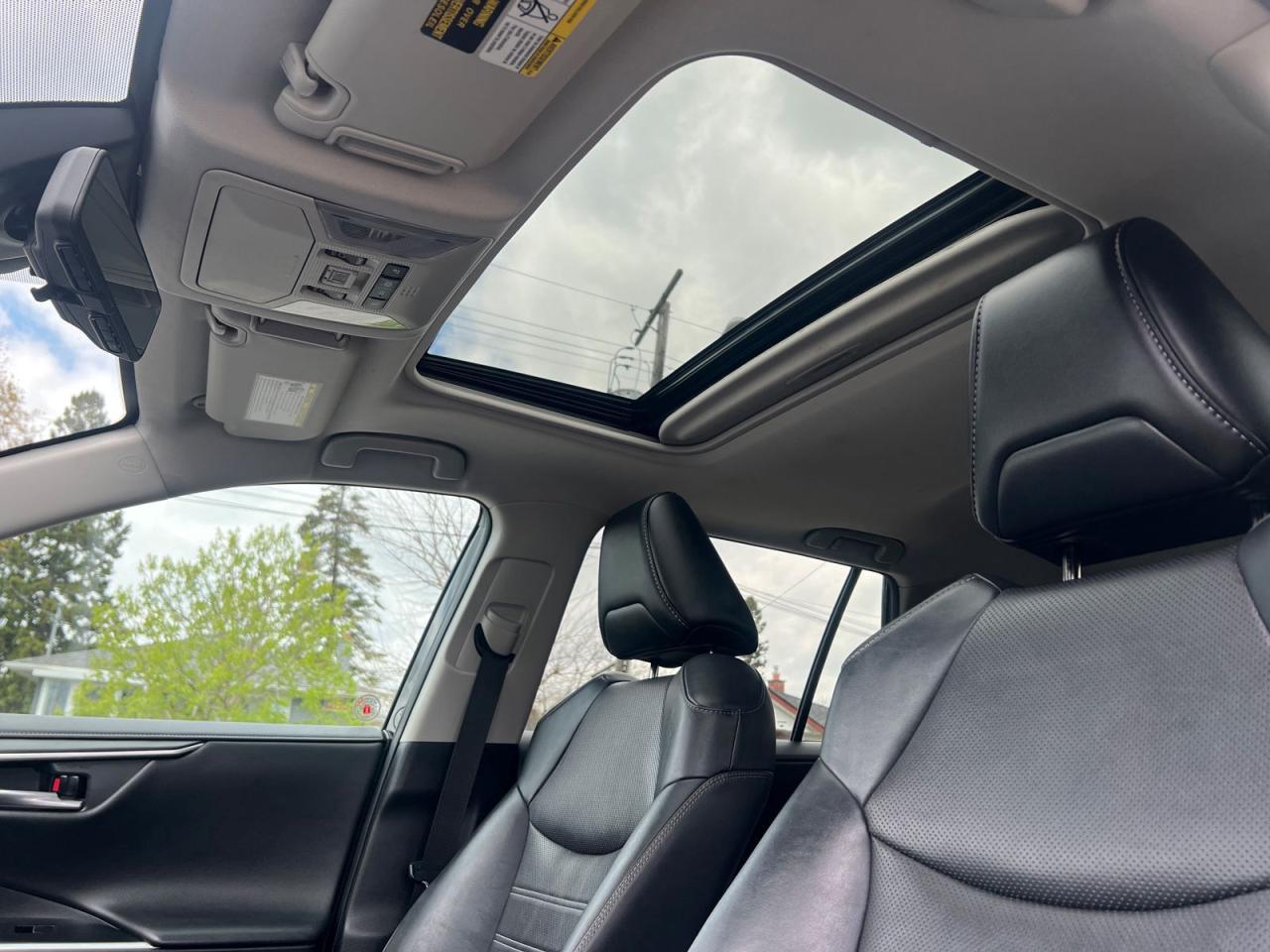 2019 Toyota RAV4 LIMITED AWD - Photo #9