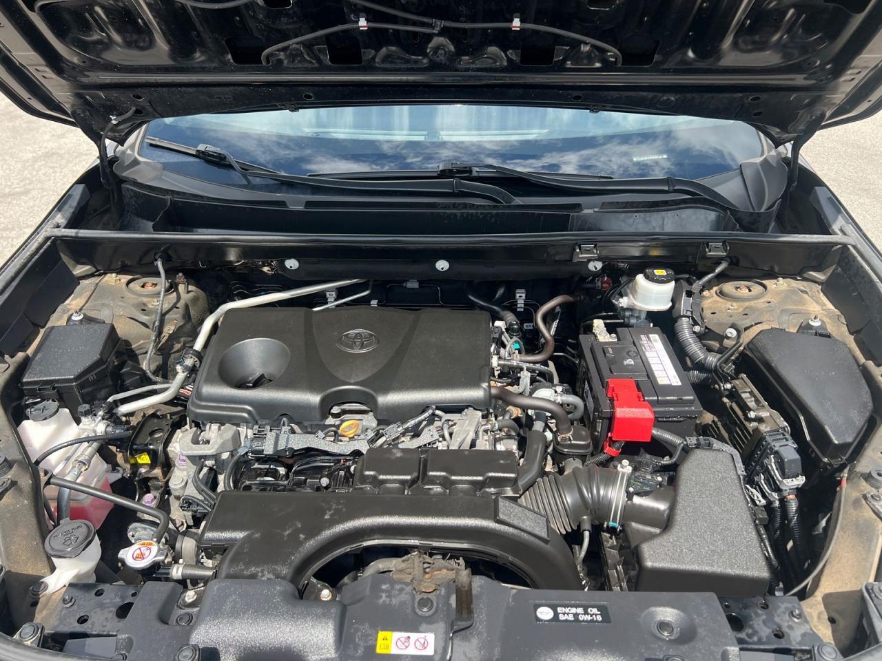 2019 Toyota RAV4 LIMITED AWD - Photo #25