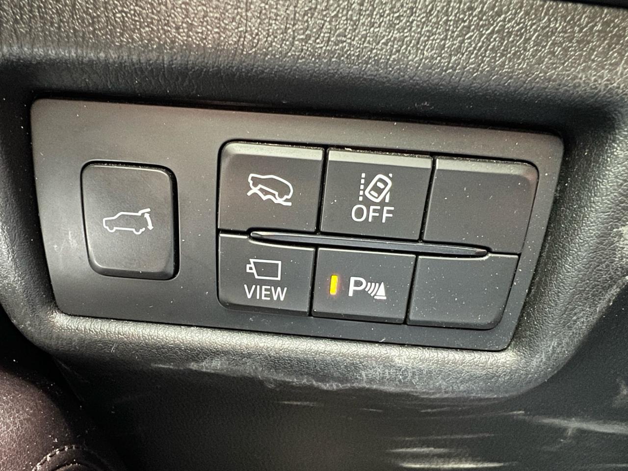 12494446