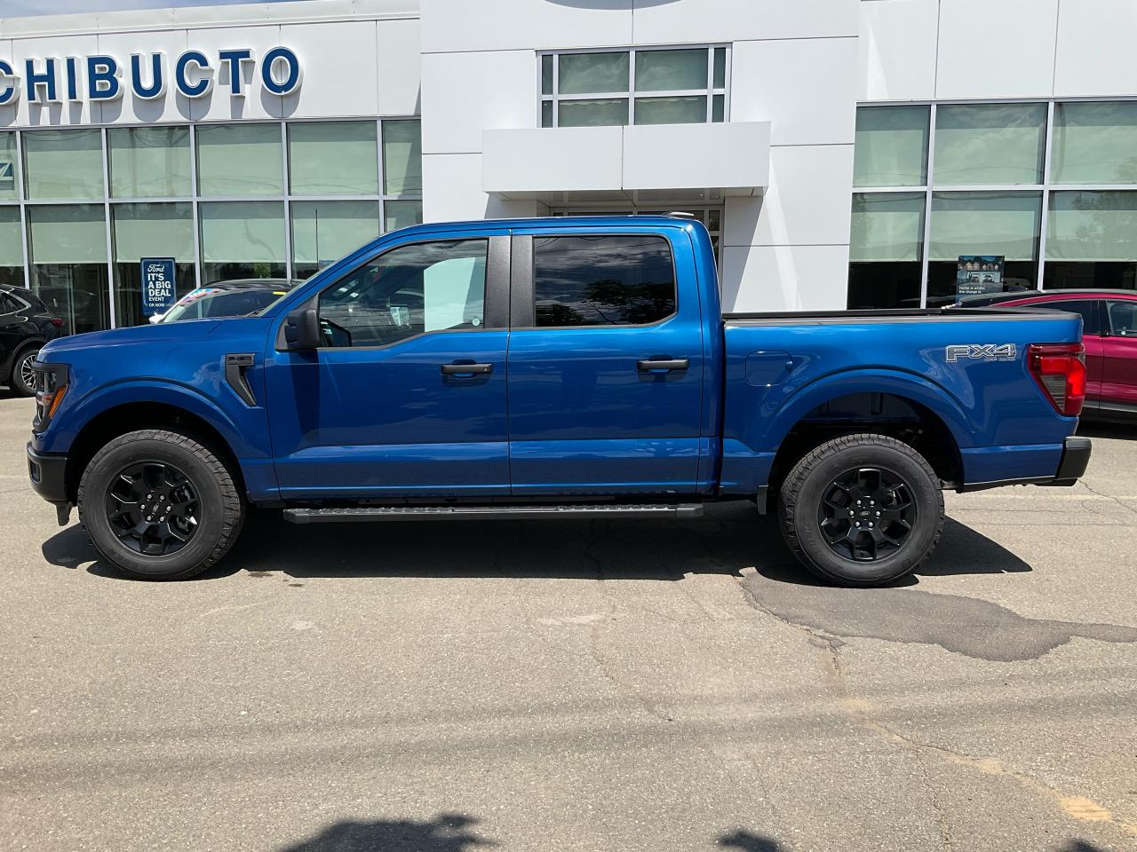 2025 Ford F-150 STX Photo