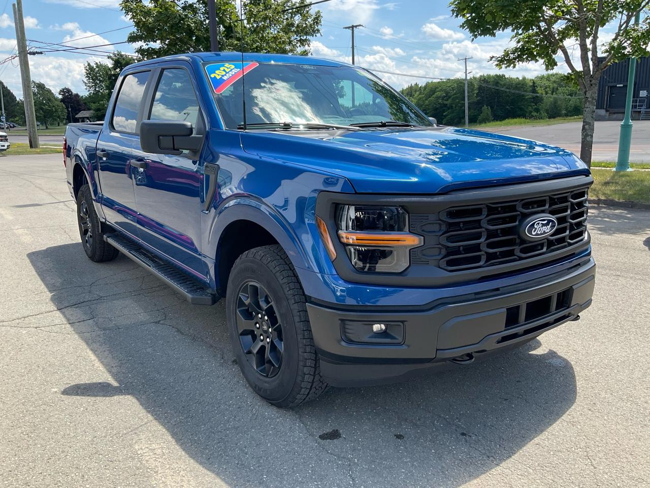 2025 Ford F-150 STX Photo