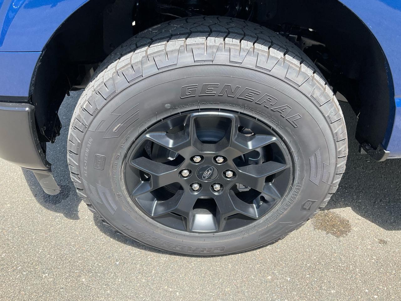 2025 Ford F-150 STX Photo5