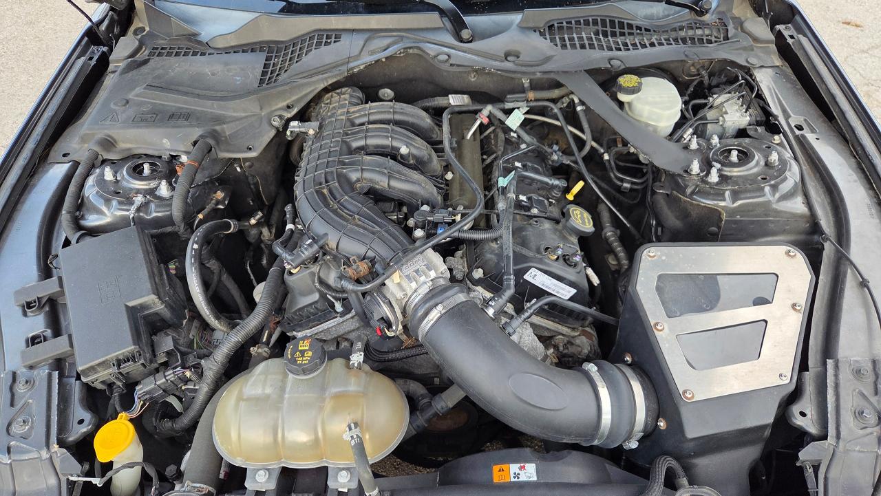 2017 Ford Mustang V6 - Photo #19