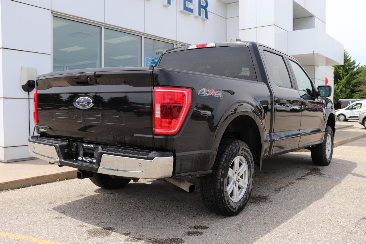 2023 Ford F-150 XLT 4WD SuperCrew 5.5' Box Photo