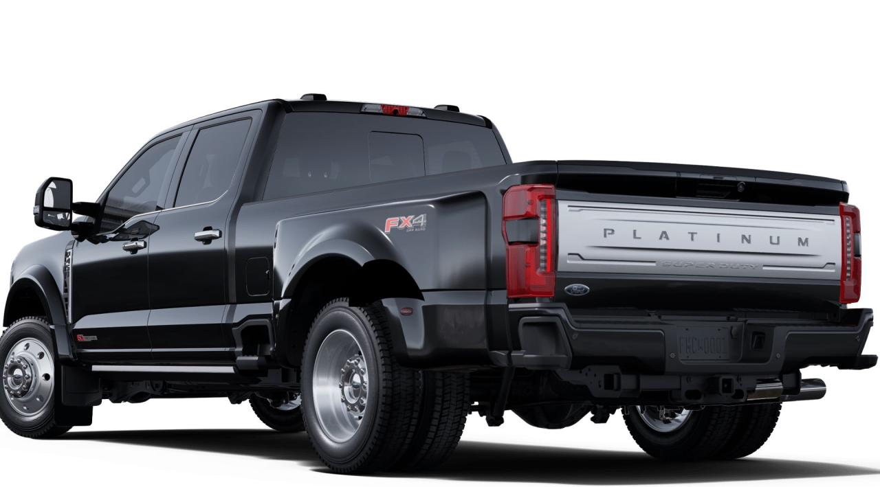 2025 Ford F-450 Super Duty DRW PLATINUM 8' Box 773A Photo1
